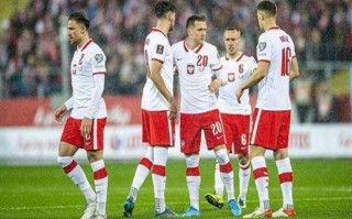 丹麦国家队队员名单（参加2022世界杯大名单）